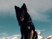 Shani